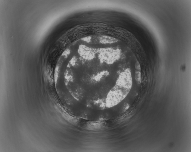 X0000115120479200912081349