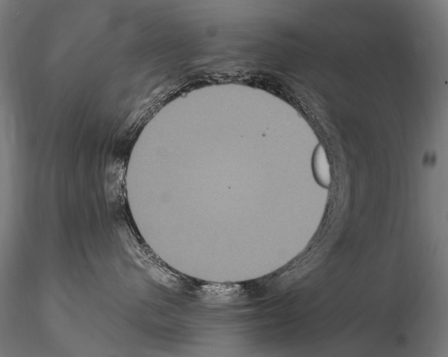 X0000115120480200912081349