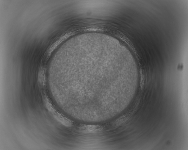 X0000115120482200912081348