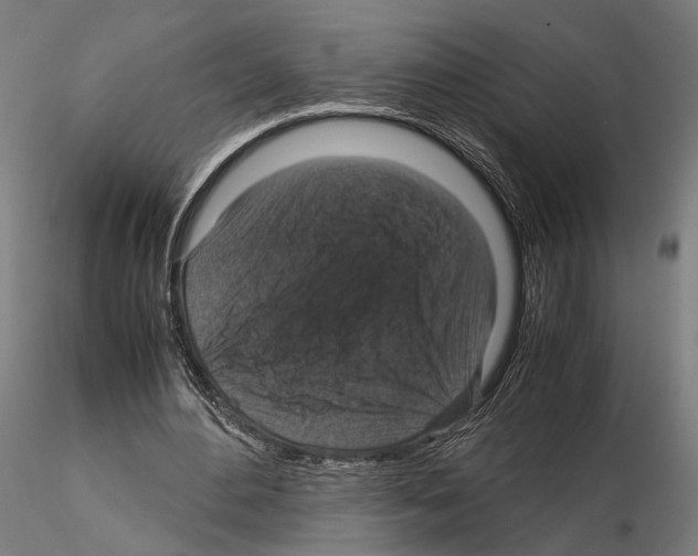 X0000115120484200912081348