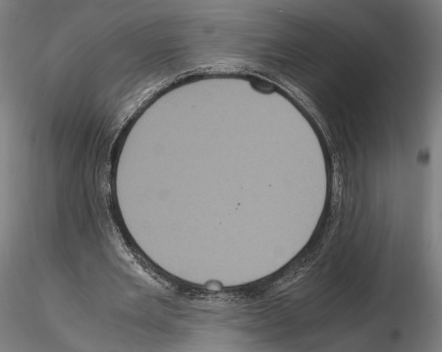 X0000115120485200912081348