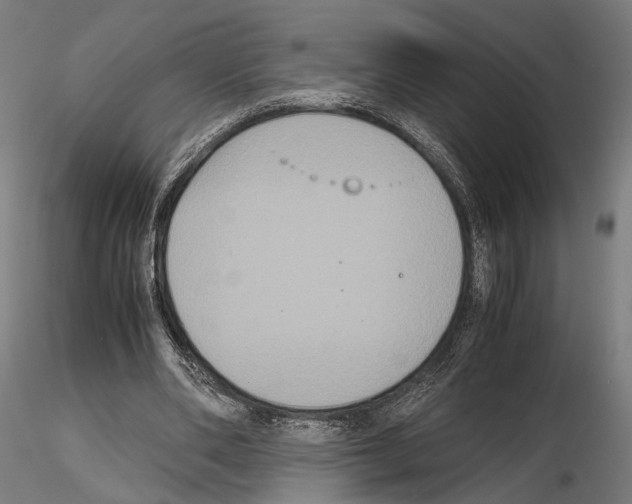 X0000115120486200912081348