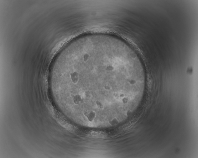 X0000115120487200912081348