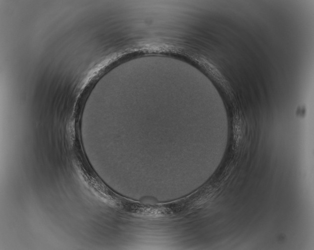 X0000115120488200912081348