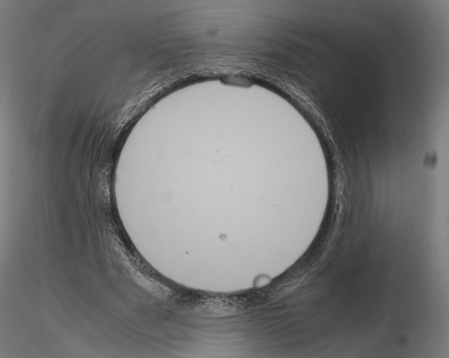 X0000115120489200912081348