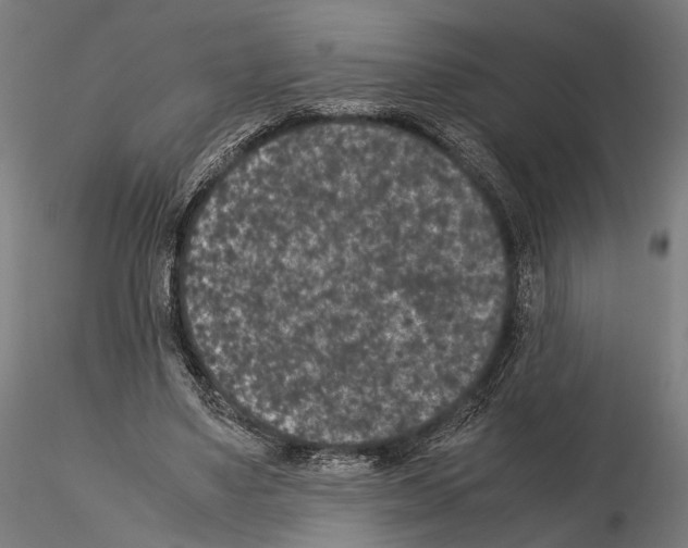 X0000115120491200912081348