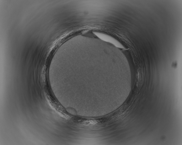 X0000115120492200912081348