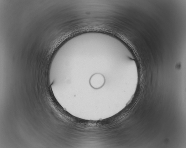 X0000115120493200912081348