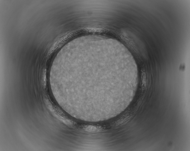 X0000115120494200912081348