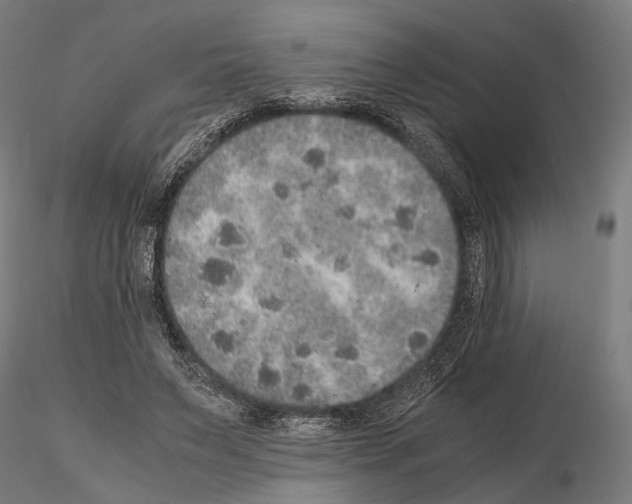 X0000115120495200912081348