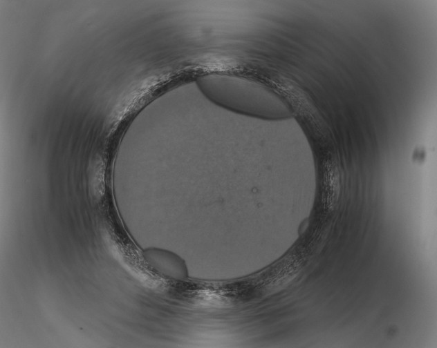 X0000115120496200912081348