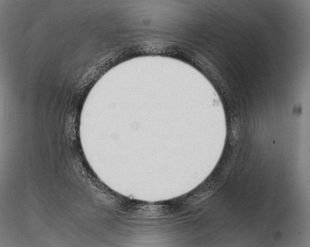 X0000115120497200912081348