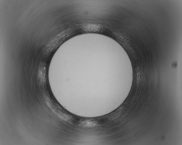 X0000115120498200912081348