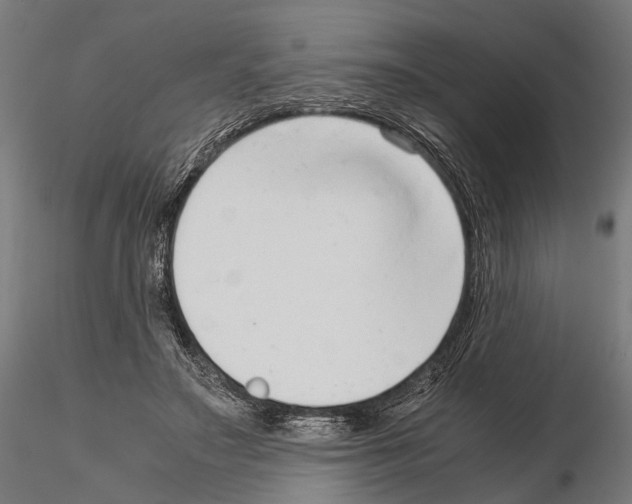 X0000115120499200912081348