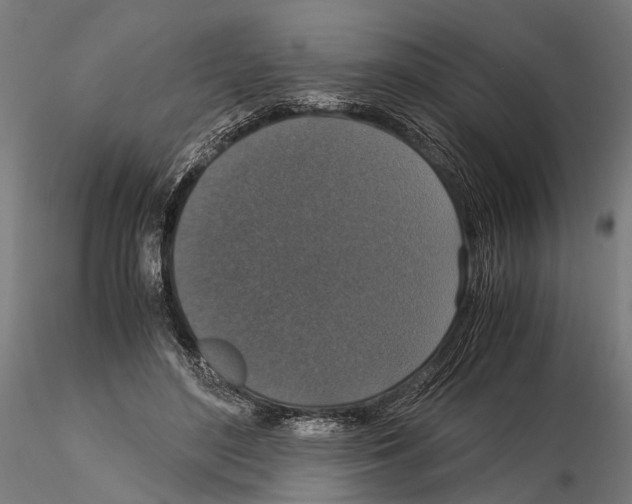 X0000115120500200912081348