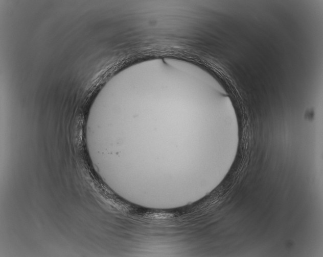 X0000115120501200912081348