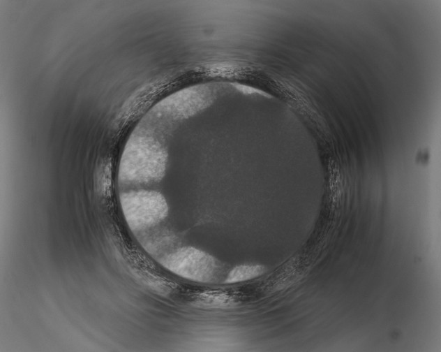 X0000115120502200912081348