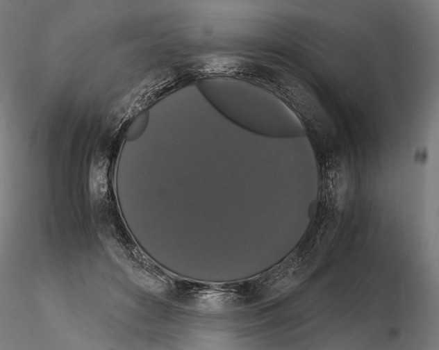 X0000115120504200912081348