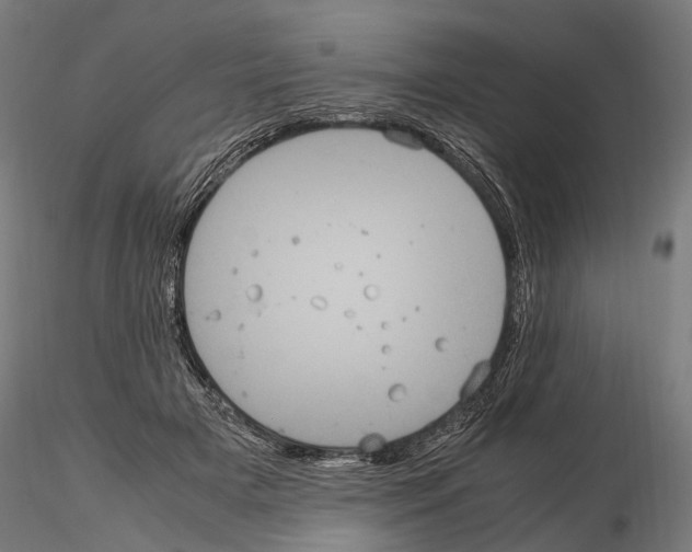 X0000115120505200912081348