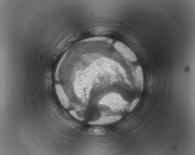 X0000115120506200912081348