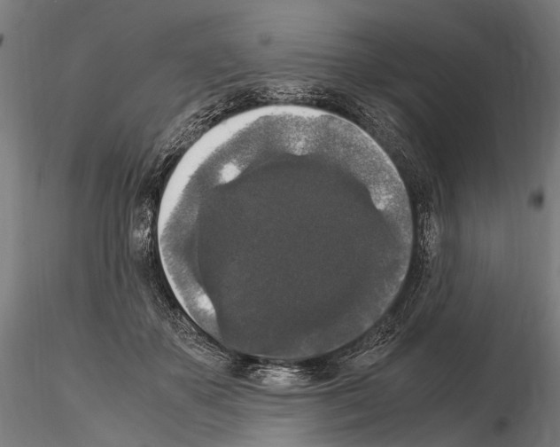 X0000115120507200912081348