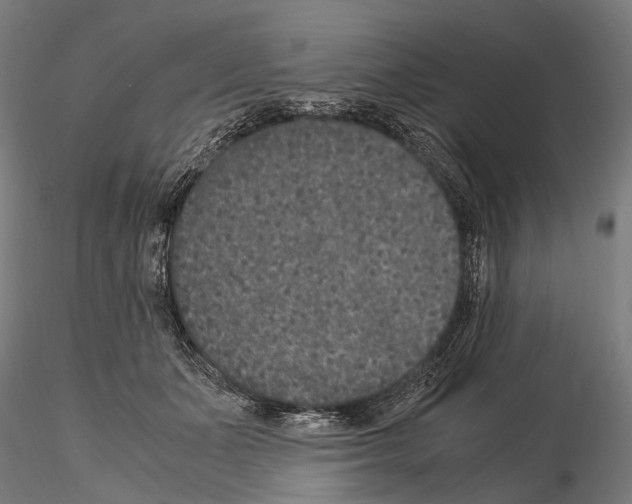 X0000115120511200912081348