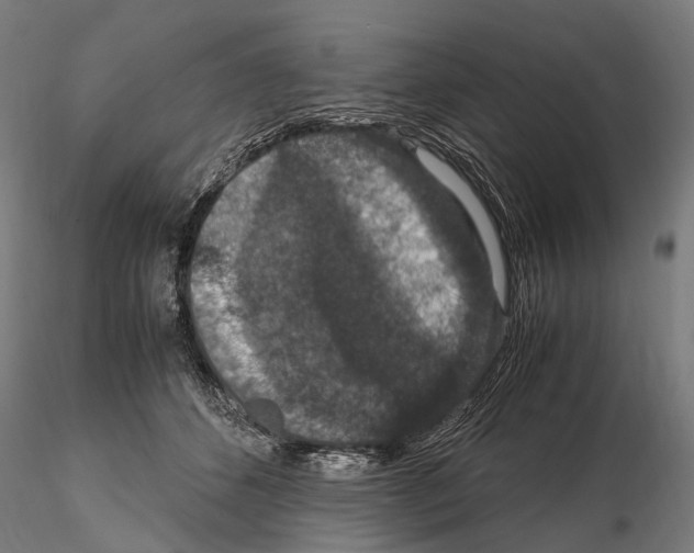 X0000115120512200912081348