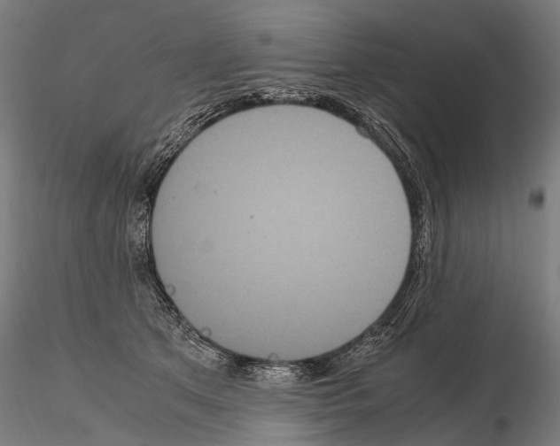 X0000115120513200912081348