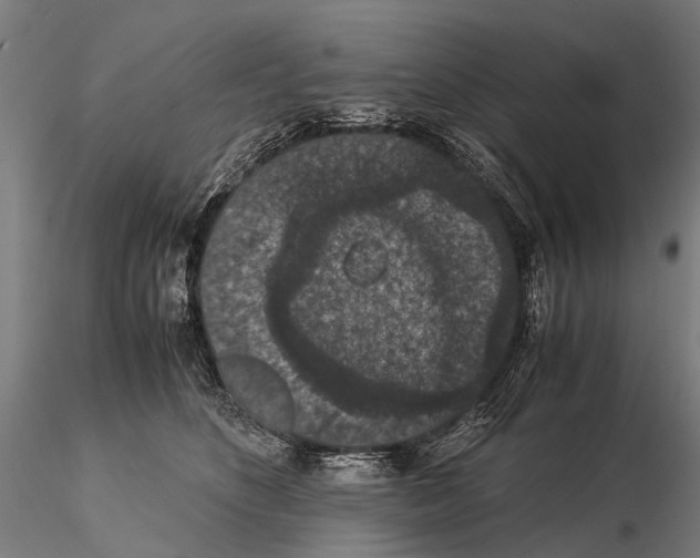 X0000115120516200912081348