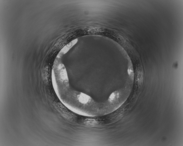 X0000115120519200912081347