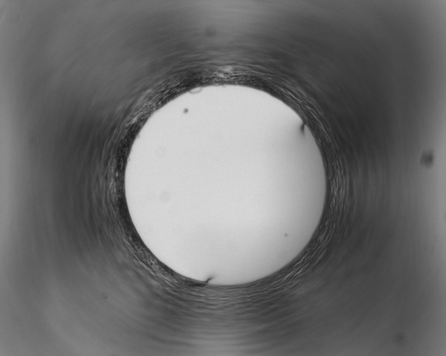 X0000115120520200912081347