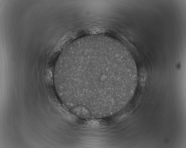 X0000115120523200912081347