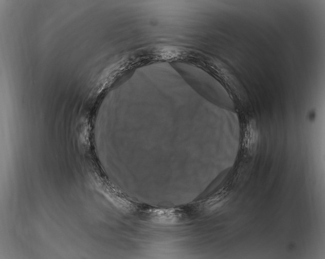 X0000115120524200912081347