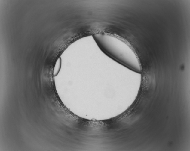 X0000115120525200912081347