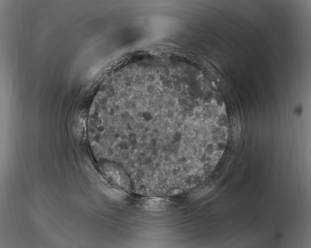 X0000115120527200912081347