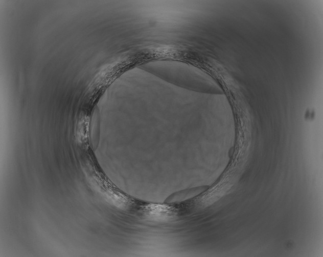 X0000115120528200912081347