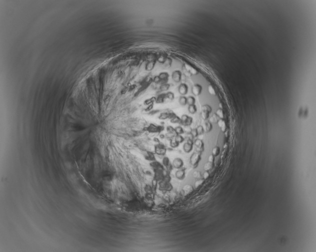 X0000115120529200912081347