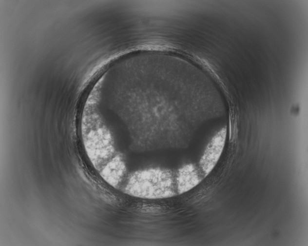 X0000115120531200912081347