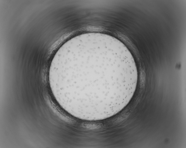 X0000115120533200912081347