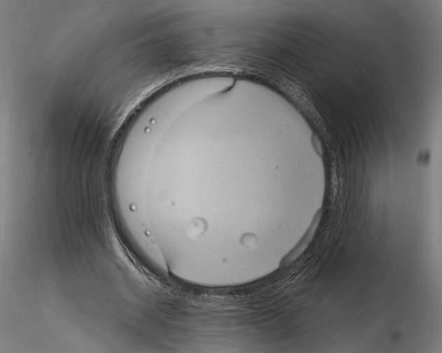 X0000115120534200912081347