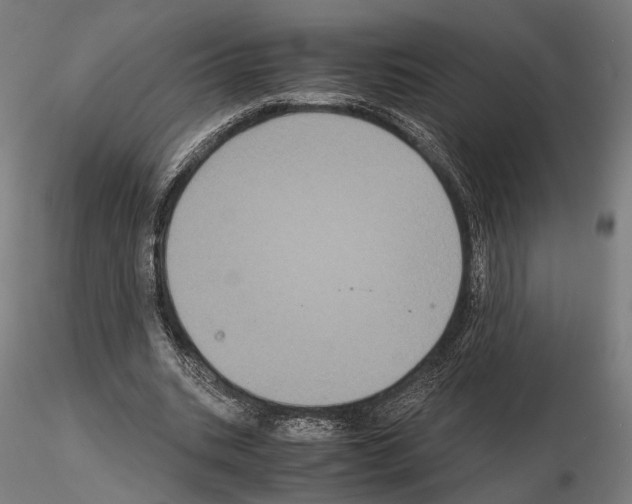 X0000115120535200912081347