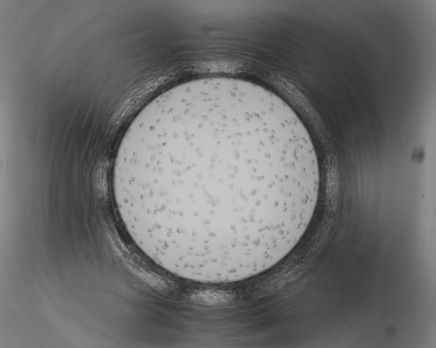 X0000115120537200912081347