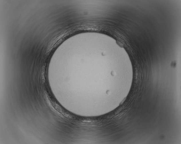 X0000115120538200912081347