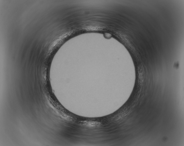 X0000115120539200912081347