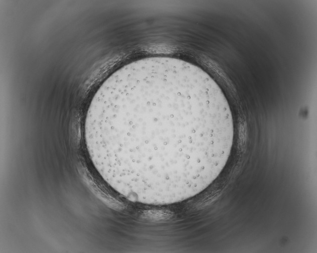 X0000115120541200912081347