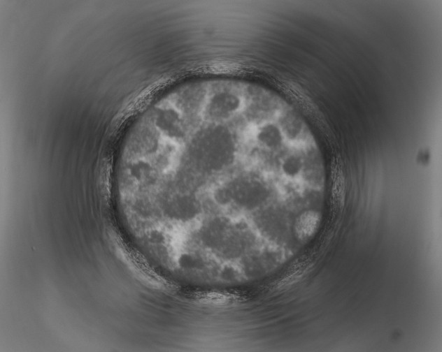 X0000115120542200912081347