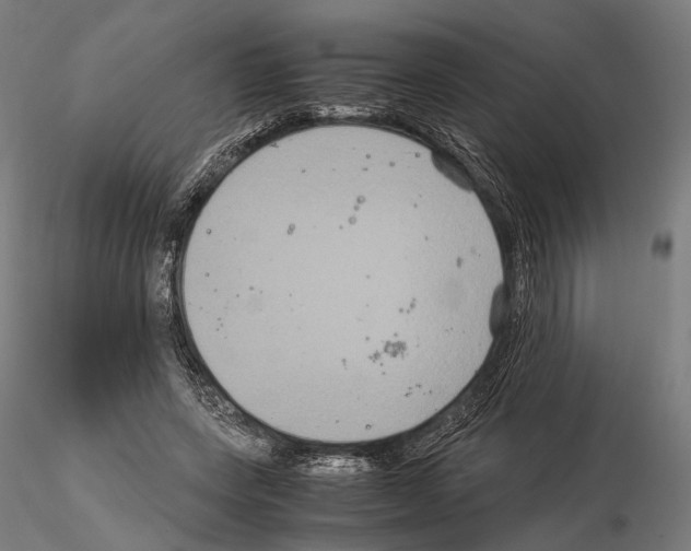 X0000115120543200912081347