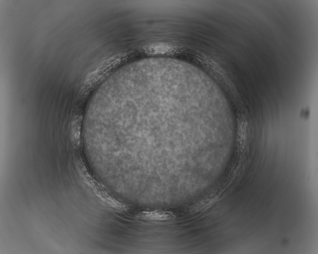 X0000115120545200912081347