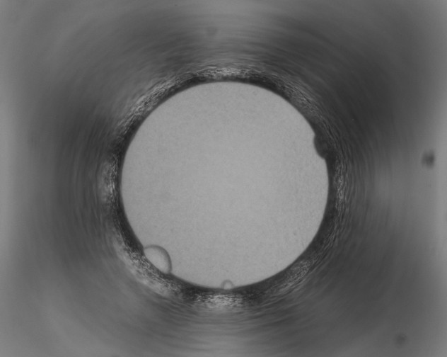 X0000115120546200912081347