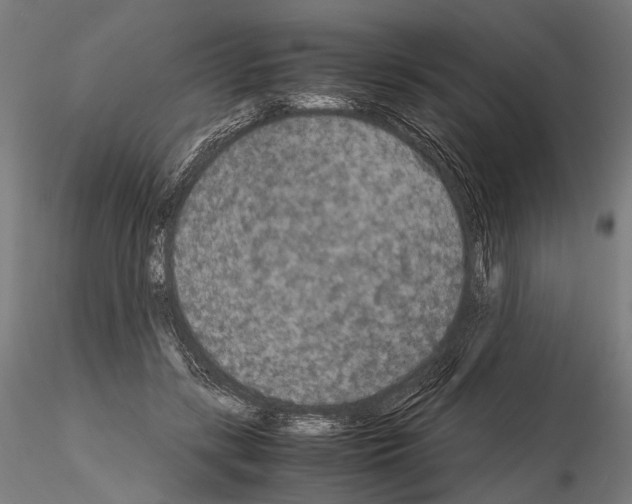 X0000115120547200912081347